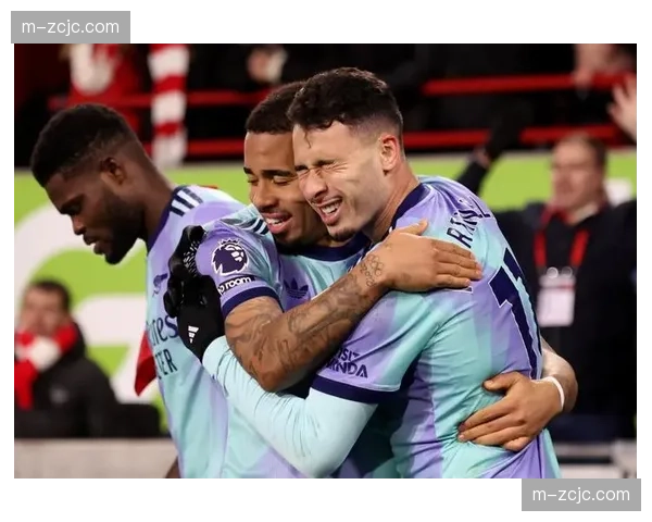 布伦特福德蒂亚戈梅开二度 但霍尔补时扳平比分